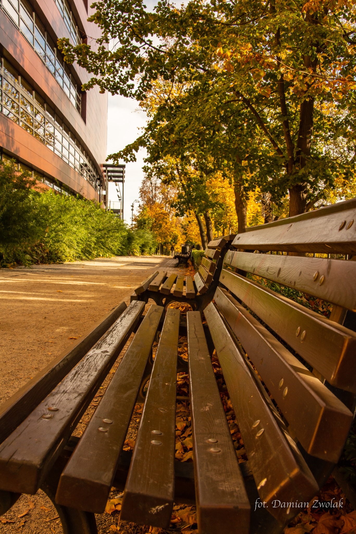 Jesienny park z ławkami, brązowe liście na ziemi, budynek z licznymi oknami w tle, ciepłe światło.