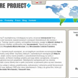 Profesjonalne strony www z szeroką bazą danych