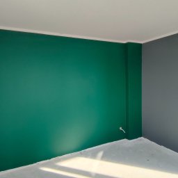 Kompleksowe malowanie w kolorze jak i białym sufitem.