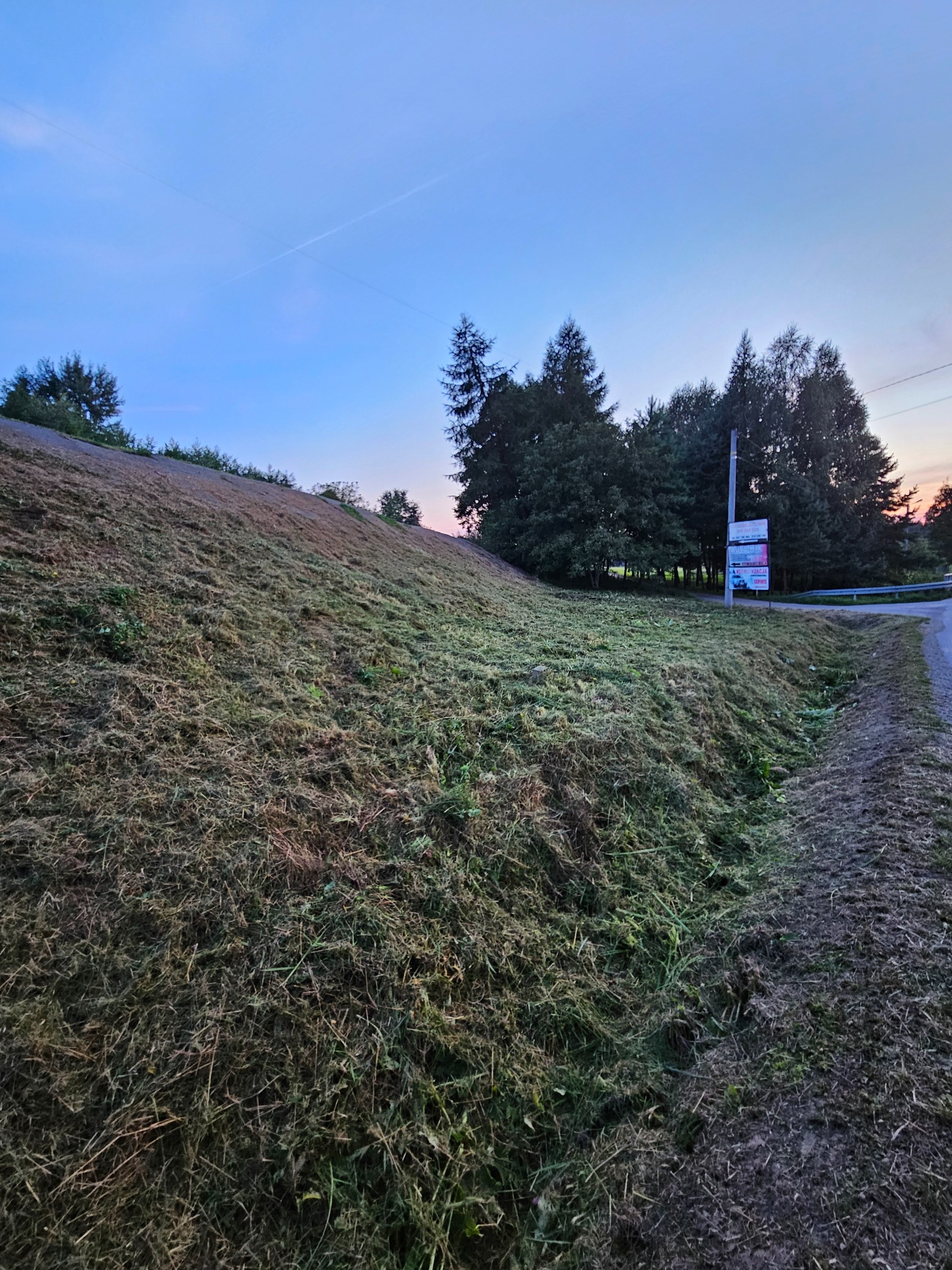 Świeżo skoszona trawa na zboczu, widok z dołu, na horyzoncie drzewa i tablica reklamowa przy drodze, niebo o zmierzchu.