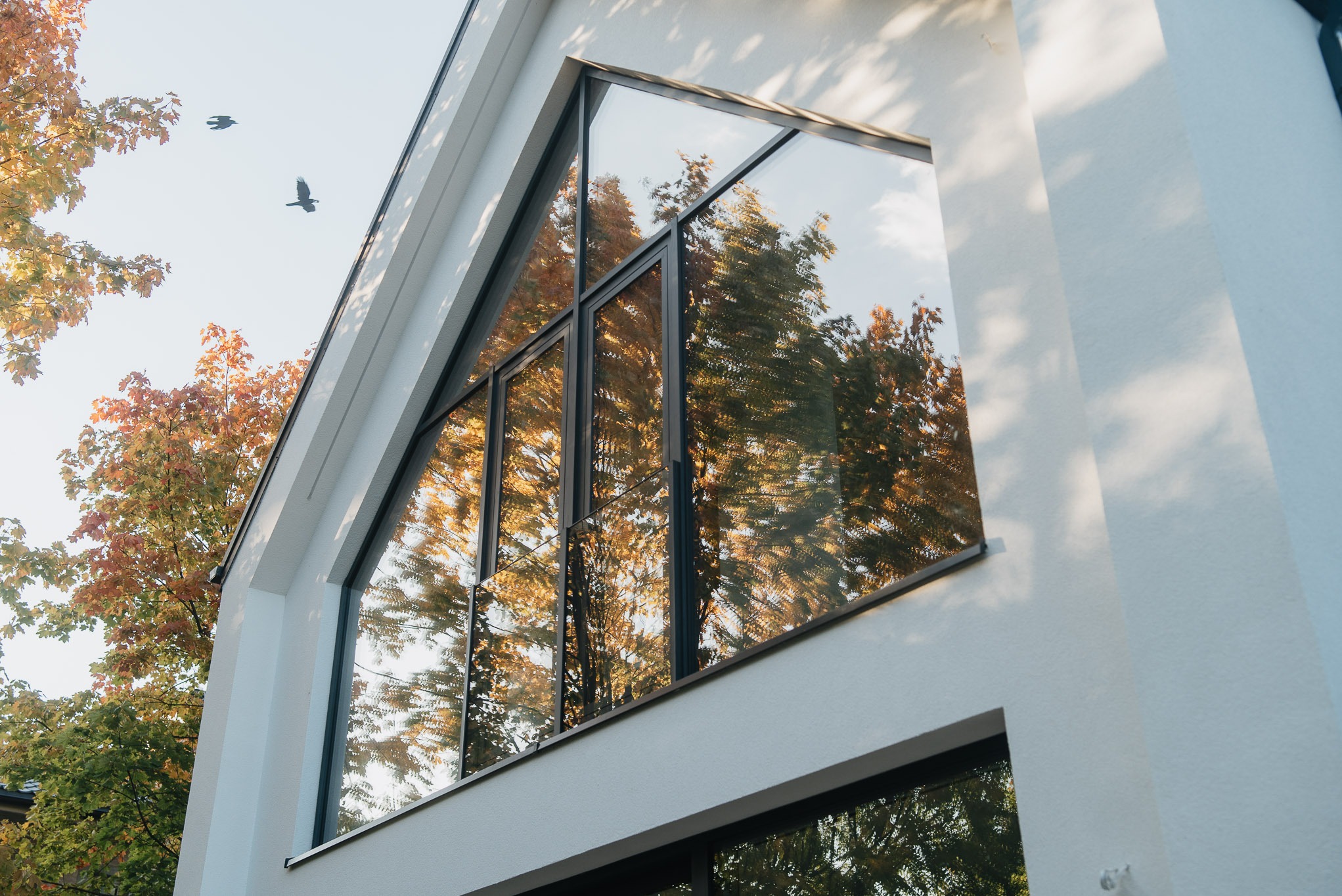 Duże, trójkątne okno z czarną ramą w białym budynku. W szybach odbijają się drzewa z jesiennymi liśćmi, a na niebie widać dwa ptaki.