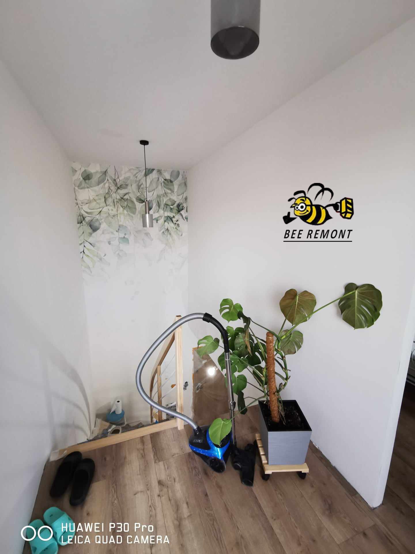 Wnętrze po remoncie: odkurzacz, roślina w doniczce na kółkach, tapeta z motywem roślinnym, nowe oświetlenie, logo firmy na ścianie.