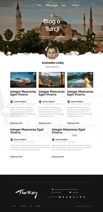 Układ strony internetowej bloga podróżniczego o Turcji z nagłówkiem z panoramą Stambułu i listą wpisów z miniaturkami zdjęć.