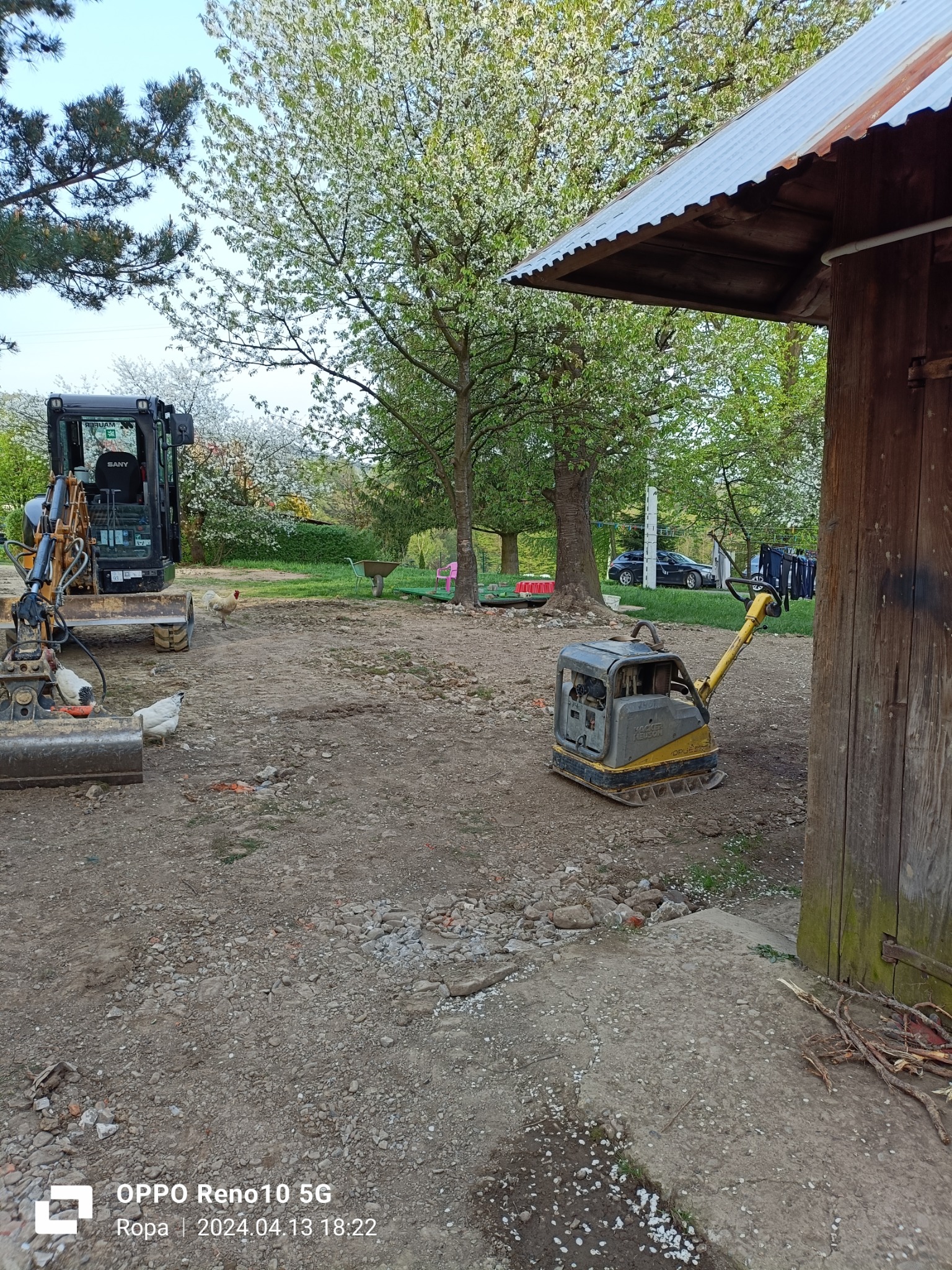 Mini koparka i zagęszczarka gruntu na placu budowy z kurami, w tle kwitnące drzewa owocowe.