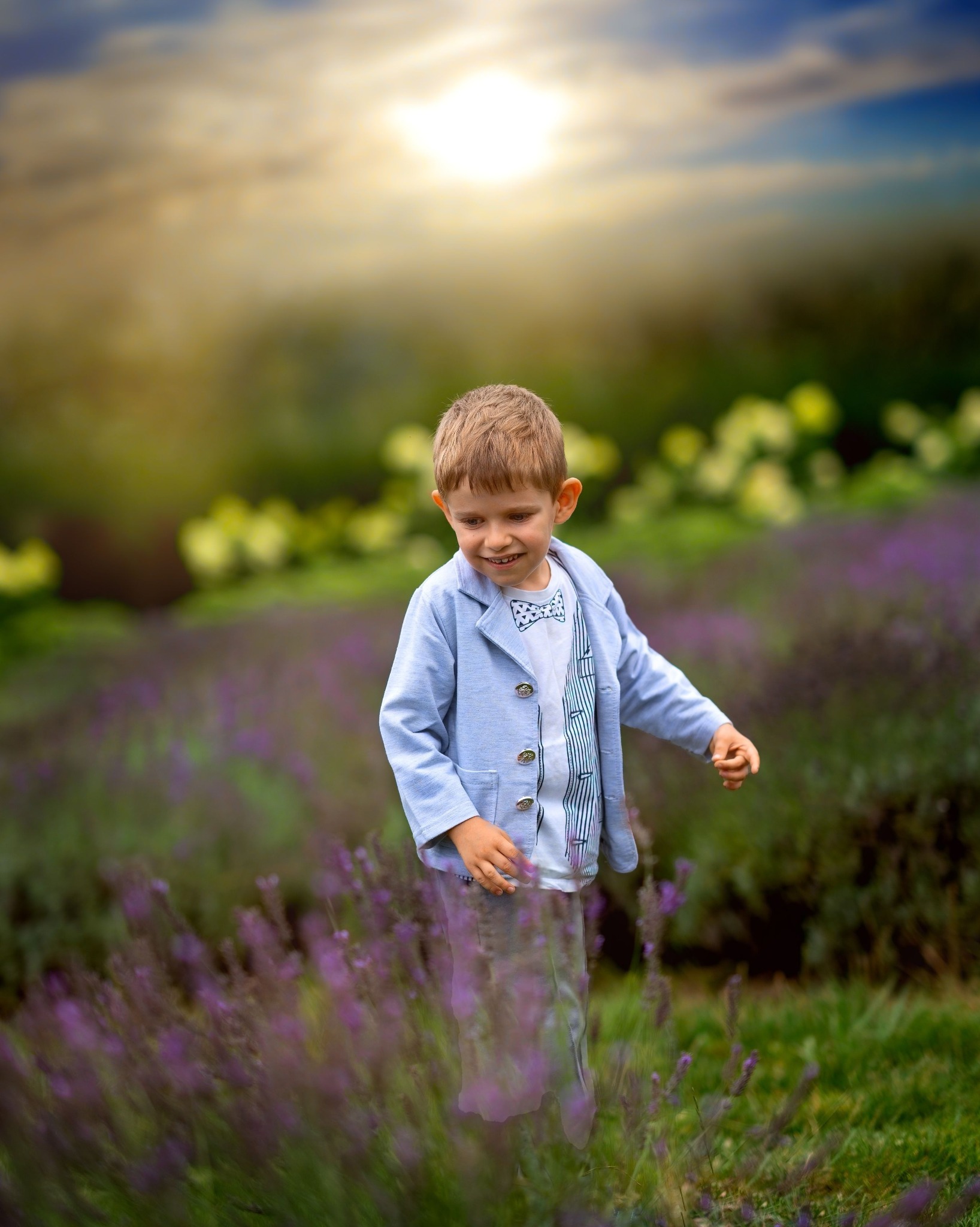 Uśmiechnięty chłopiec w błękitnej marynarce i muszce, spacerujący po polu lawendy w promieniach zachodzącego słońca.