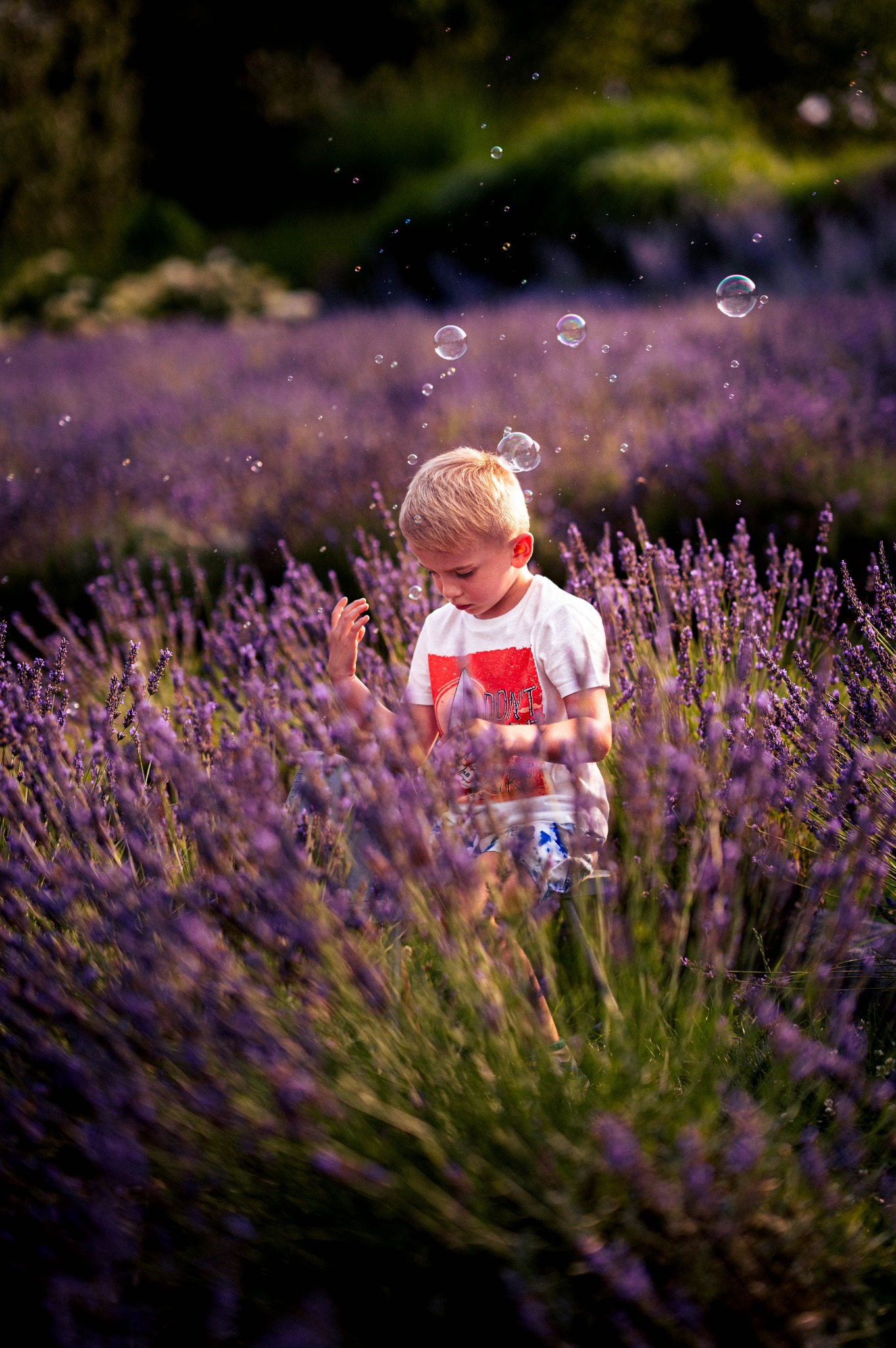 Chłopiec w białej koszulce bawi się bańkami mydlanymi na polu lawendy, delikatne światło tworzy magiczną atmosferę.