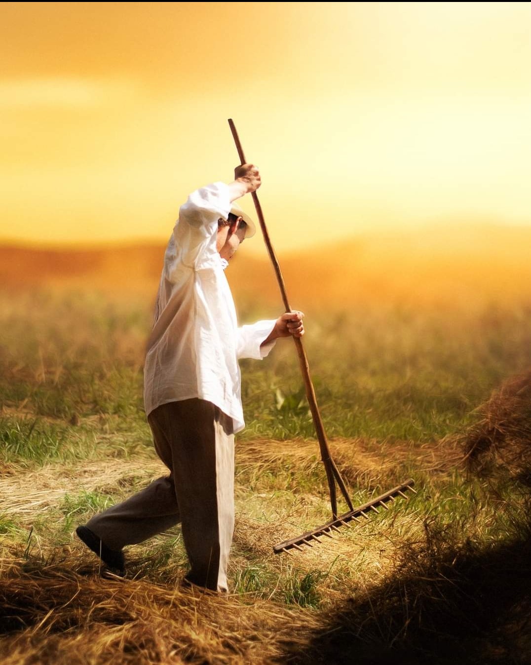 Mężczyzna w białej koszuli i kapeluszu, z drewnianymi grabiami na polu, w ciepłym świetle zachodzącego słońca.