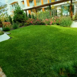 Pielęgnujemy tereny zieleni przy firmach i instytucjach