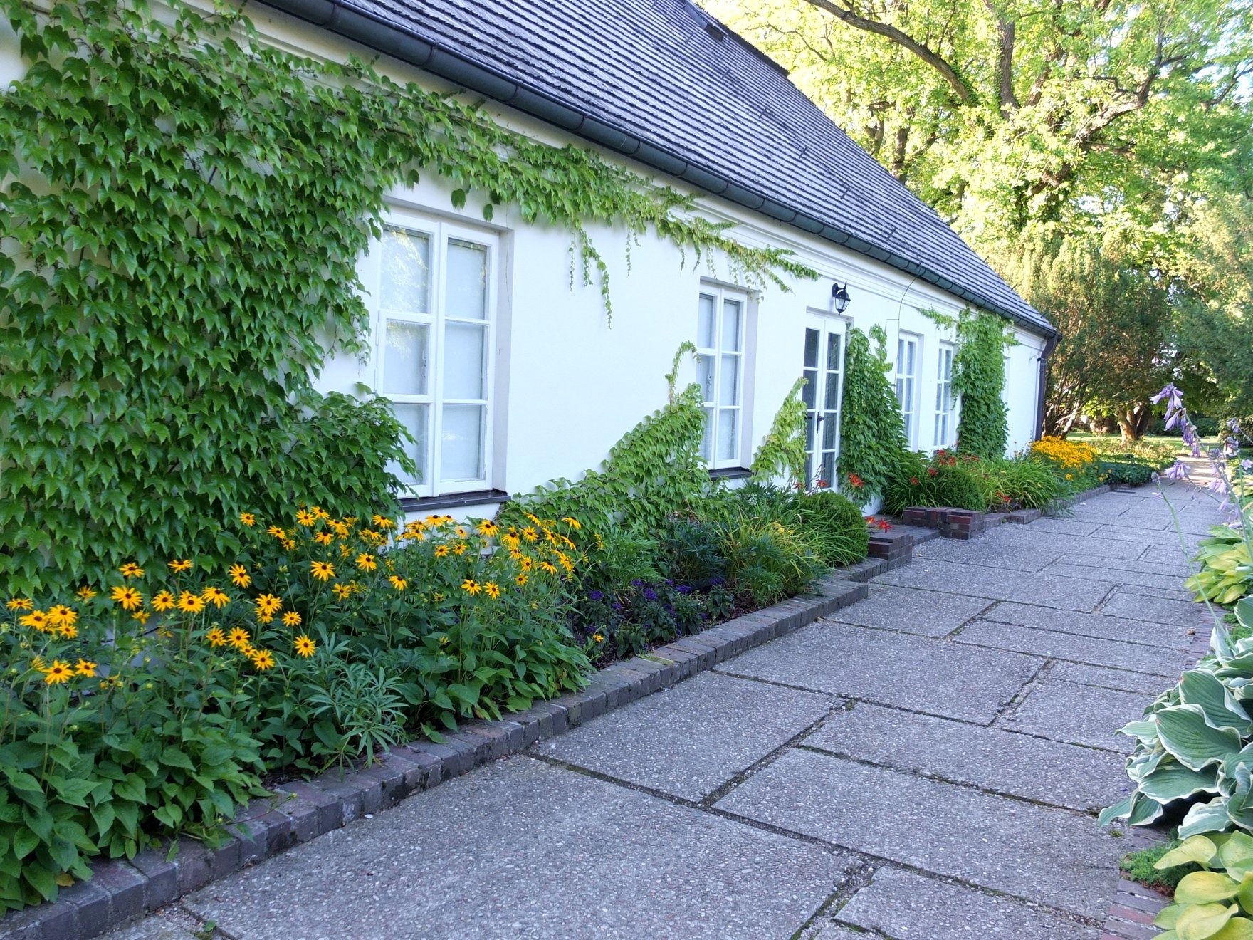 Projekt roślinności w Parku w Żelazowej Woli