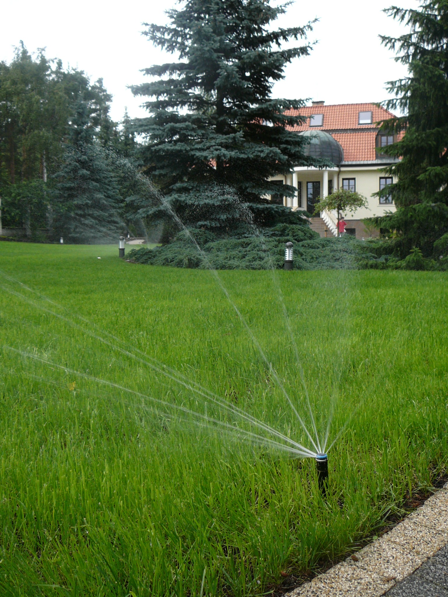 profesjonalnie zakładamy systemy nawadniające dostosowane do wielkości terenu, warunków glebowych i potrzeb roślin