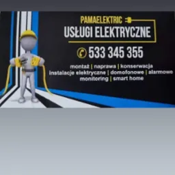 Wizytówka firmy Pamaelektric z kreskówkową postacią elektryka trzymającego wtyczki, oferującej usługi montażu, naprawy, konserwacji, instalacji elektrycznych, domofonowych, alarmowych, monitoringu...