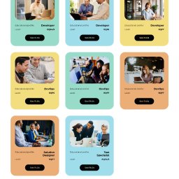 ExpertWWW - Projekt graficzny dla platformy e-learningowej ESSA Software Skills.