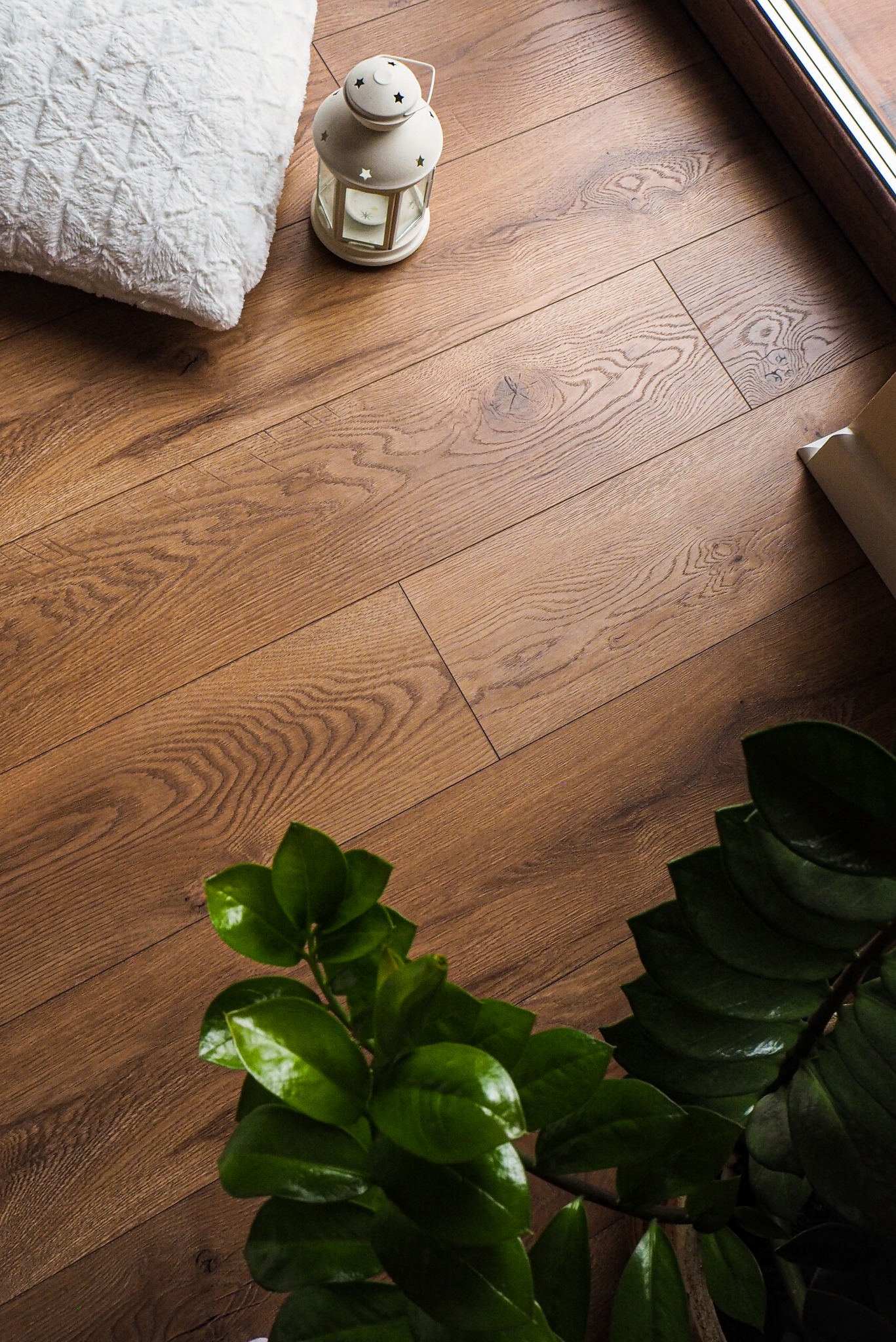 Ułożone panele podłogowe w odcieniach brązu z widoczną strukturą drewna, dekorowane białą poduszką, lampionem i zieloną rośliną doniczkową, ujęcie z góry.