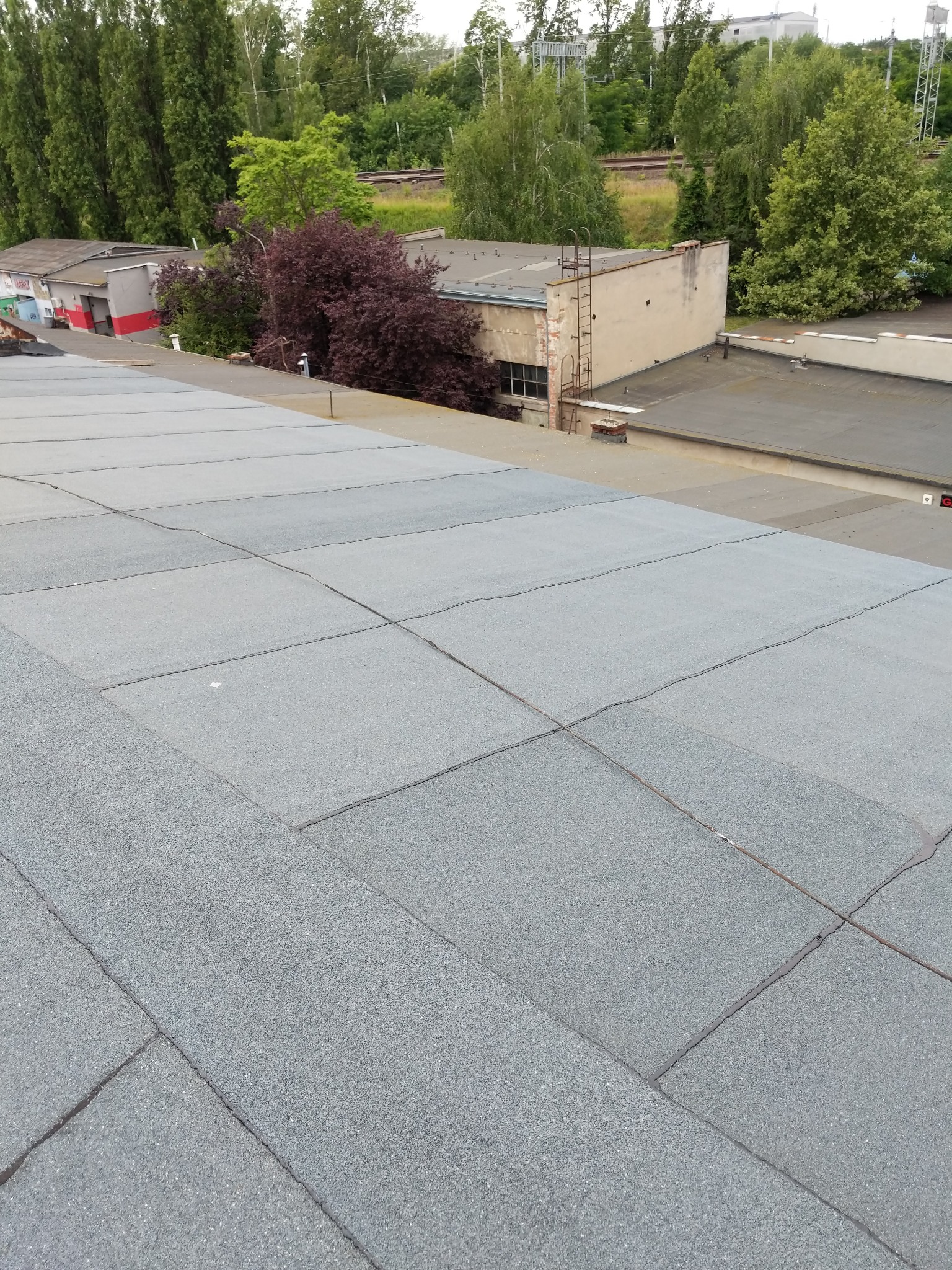 Szary dach pokryty papą termozgrzewalną, widok z góry, w tle budynki gospodarcze i zieleń.