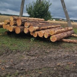 WBO Tartak - Najlepsza Wycinka Drzew Tuchola