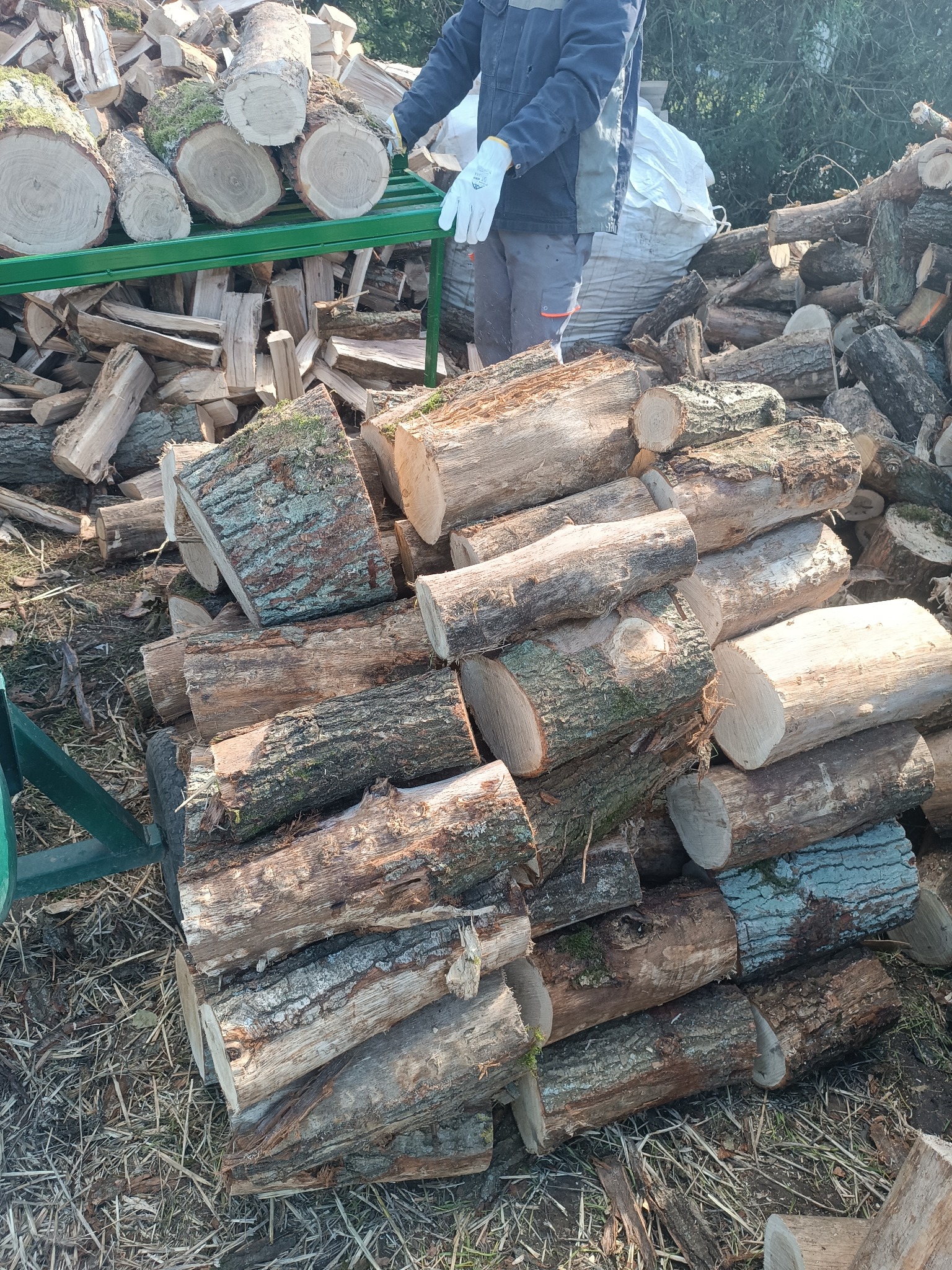 Stos pociętego drewna kominkowego, część na wózku. Pracownik w rękawicach układa polana. Widoczne słoje i korę. W tle worek z drewnem.