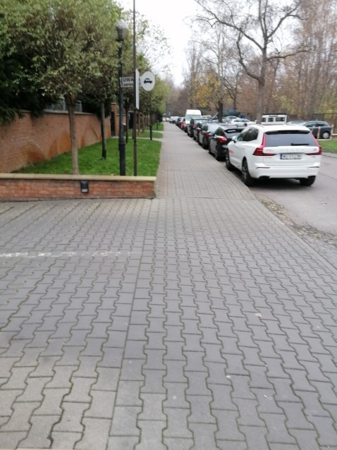 Równy trawnik wzdłuż parkingu z kostki brukowej, drzewa wzdłuż chodnika i zaparkowane samochody w tle.