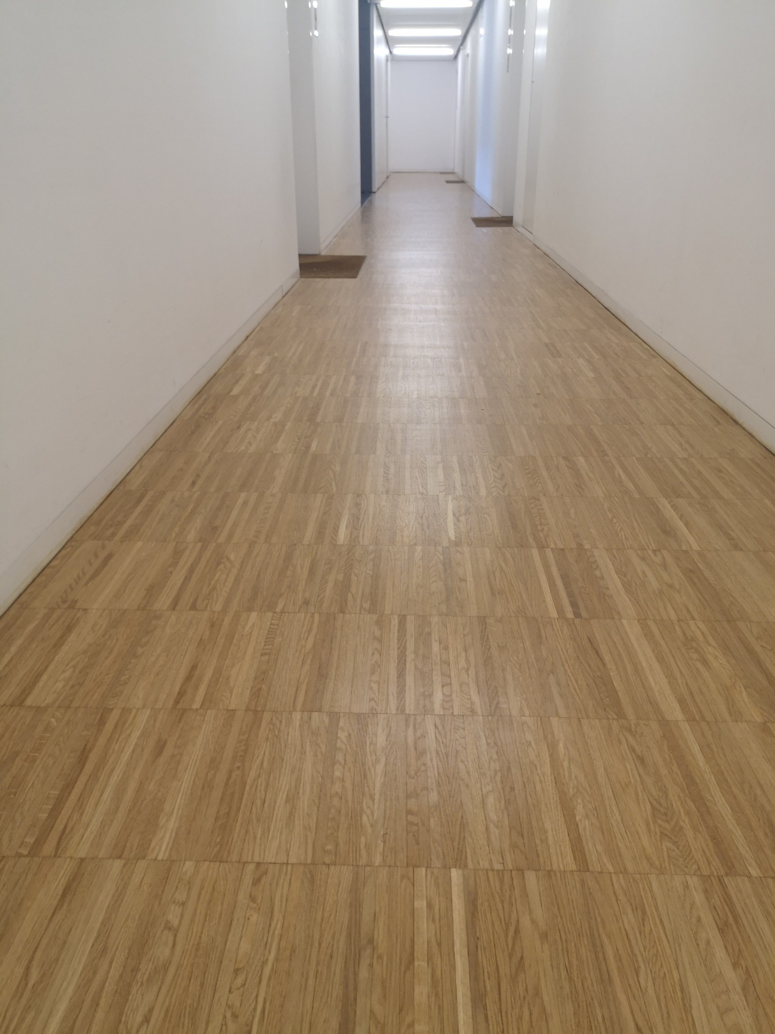 Długi, pusty korytarz z jasną drewnianą podłogą ułożoną w kwadraty, białe ściany i widoczne wycieraczki pod drzwiami w oddali.