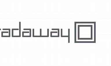 Szare logo firmy Radaway na białym tle, przedstawiające nazwę i symbol kwadratu w kwadracie.