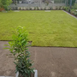 Świeżo ułożona trawa z rolki tworząca równy trawnik, widoczny mały krzew w donicy z szarego kamienia na pierwszym planie, w tle ogrodzenie z betonowych elementów.