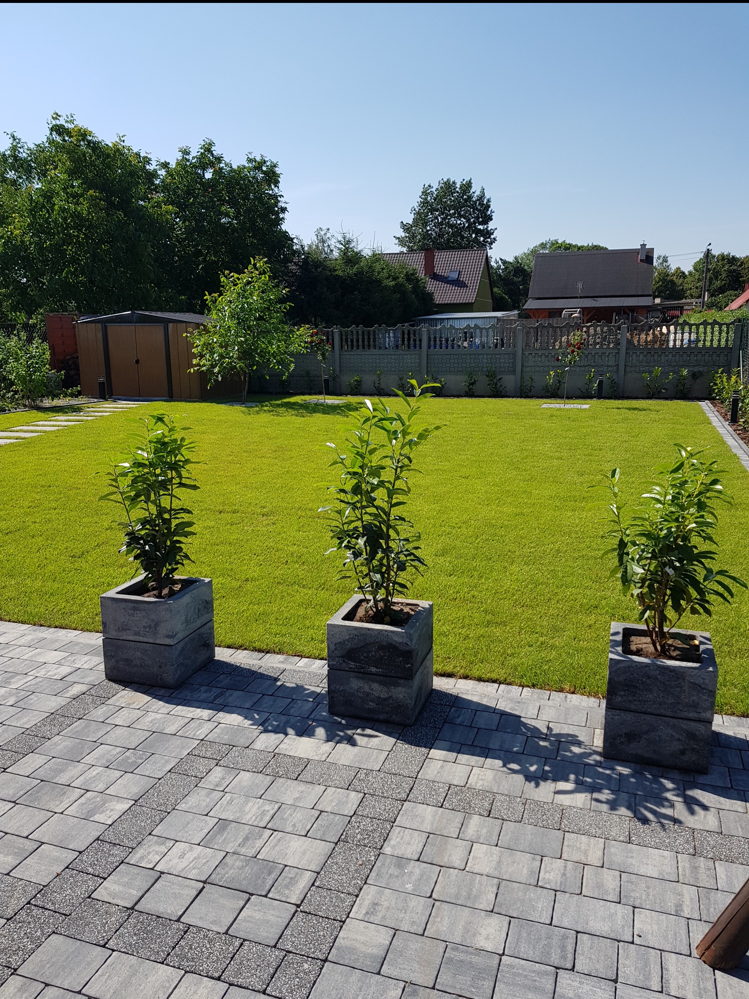 Zadbany trawnik w Jarocinie z równo przystrzyżoną trawą, obrzeżami i ozdobnymi drzewkami w betonowych donicach na kostce brukowej.