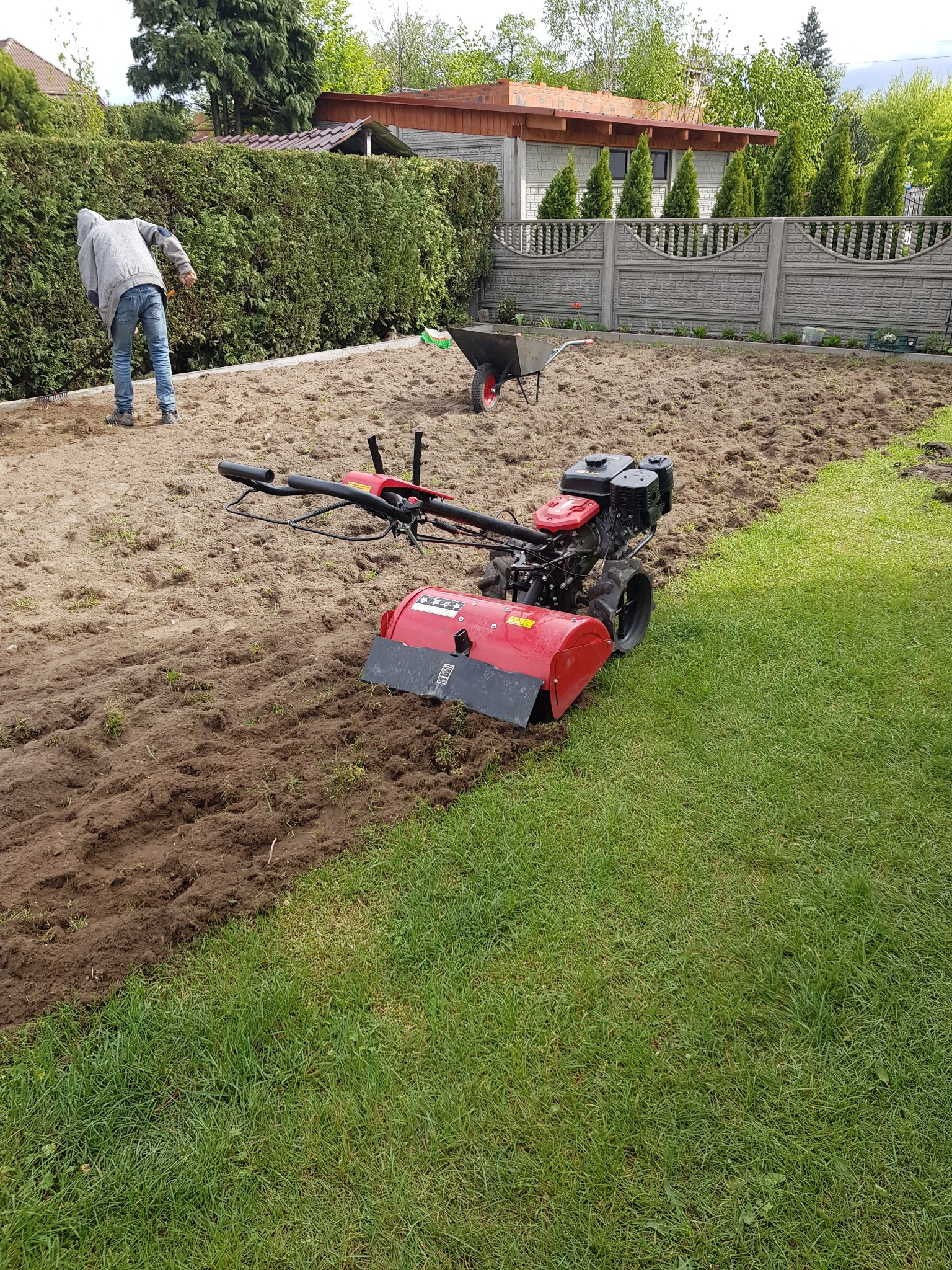 Przygotowanie ziemi pod trawnik: glebogryzarka spalinowa na trawie, mężczyzna z grabiami wyrównuje teren, w tle taczka i ogrodzenie.