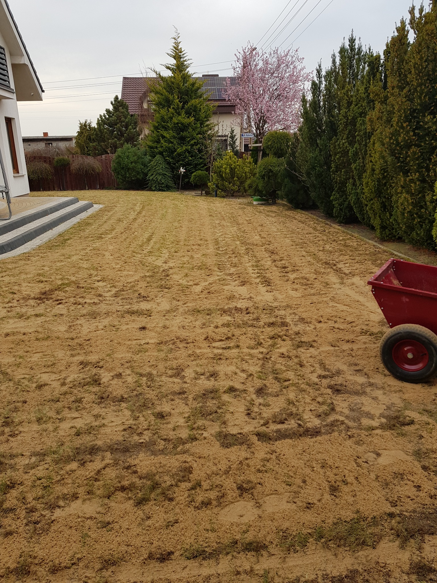 Przygotowany teren pod trawnik, świeżo rozsypana ziemia z widocznymi śladami po pracy, czerwony wózek ogrodowy w tle, obok domu z tarasem i schodami.