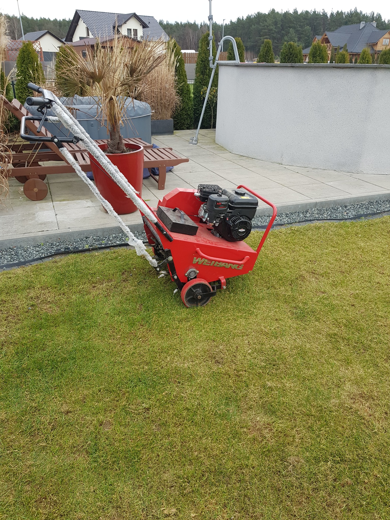 Czerwony aerator spalinowy marki Weibang na trawniku, z widocznymi śladami po aeracji, w tle element ogrodu z palmą w donicy i budynki mieszkalne.