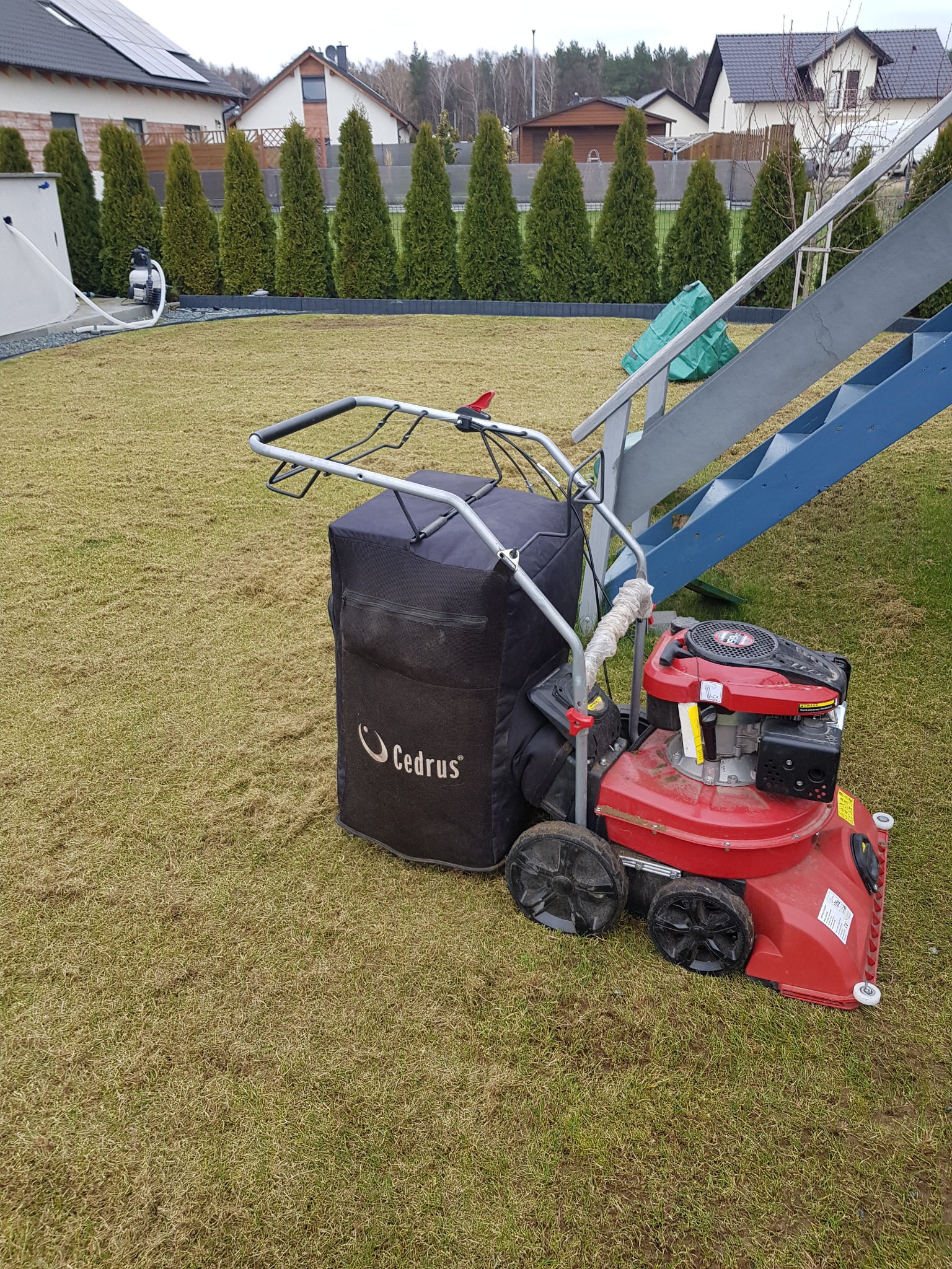 Czerwona kosiarka spalinowa marki Cedrus z czarnym koszem na tle skoszonej trawy, widoczne budynki mieszkalne i rząd wysokich tuj.