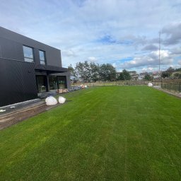 ROMBUD - Nowo założony trawnik z rolki przed nowoczesnym domem z czarną elewacją. Widoczne białe worki i przygotowane podłoże. W tle drzewa i maszt telekomunikacyjny.