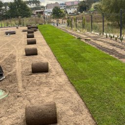 ROMBUD - Rozwijanie trawy z rolki na przygotowanym podłożu, widoczne rolki trawy czekające na rozłożenie, system nawadniania w tle.