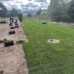 ROMBUD - Rozkładanie trawy w rolkach na przygotowanym terenie, widoczne rolki trawy i pracownicy podczas układania, w tle ogrodzenie panelowe i drzewa.