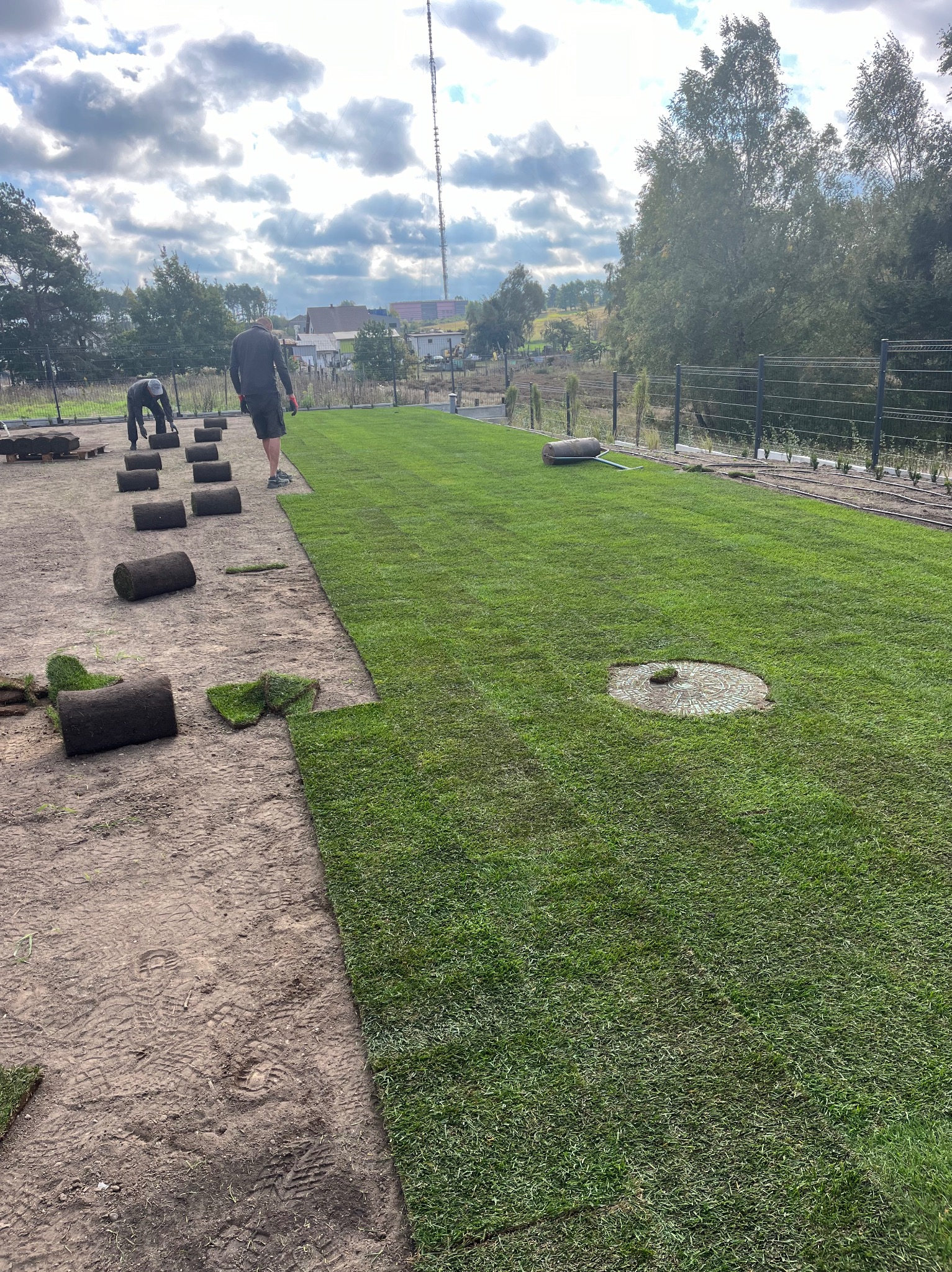 Rozkładanie trawy w rolkach na przygotowanym terenie, widoczne rolki trawy i pracownicy podczas układania, w tle ogrodzenie panelowe i drzewa.