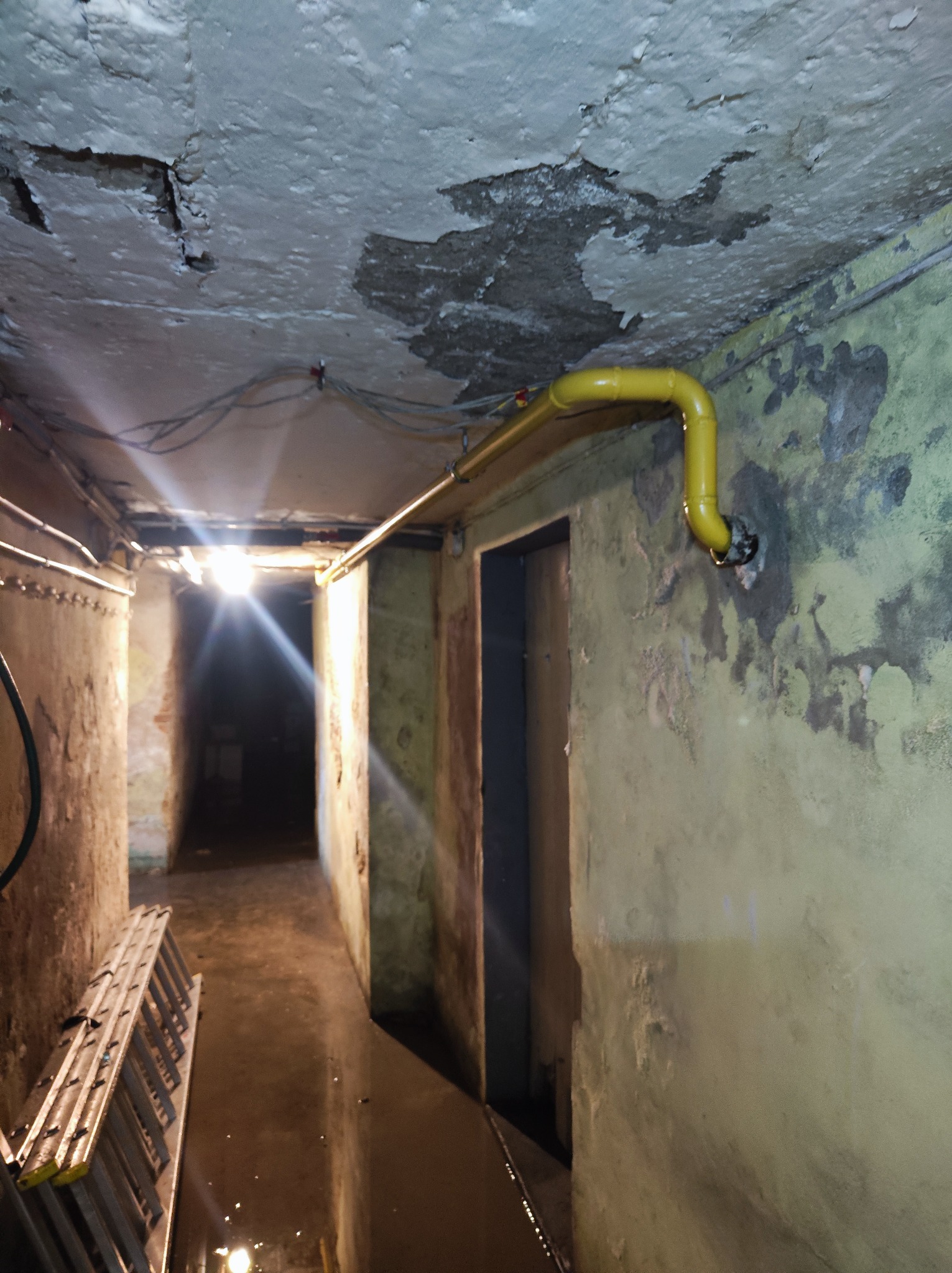 Żółta rura gazowa biegnąca wzdłuż ściany w piwnicy z łuszczącą się farbą, widoczna drabina i oświetlenie w głębi korytarza.