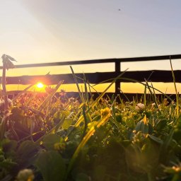 Terapia uzależnień Třinec  4