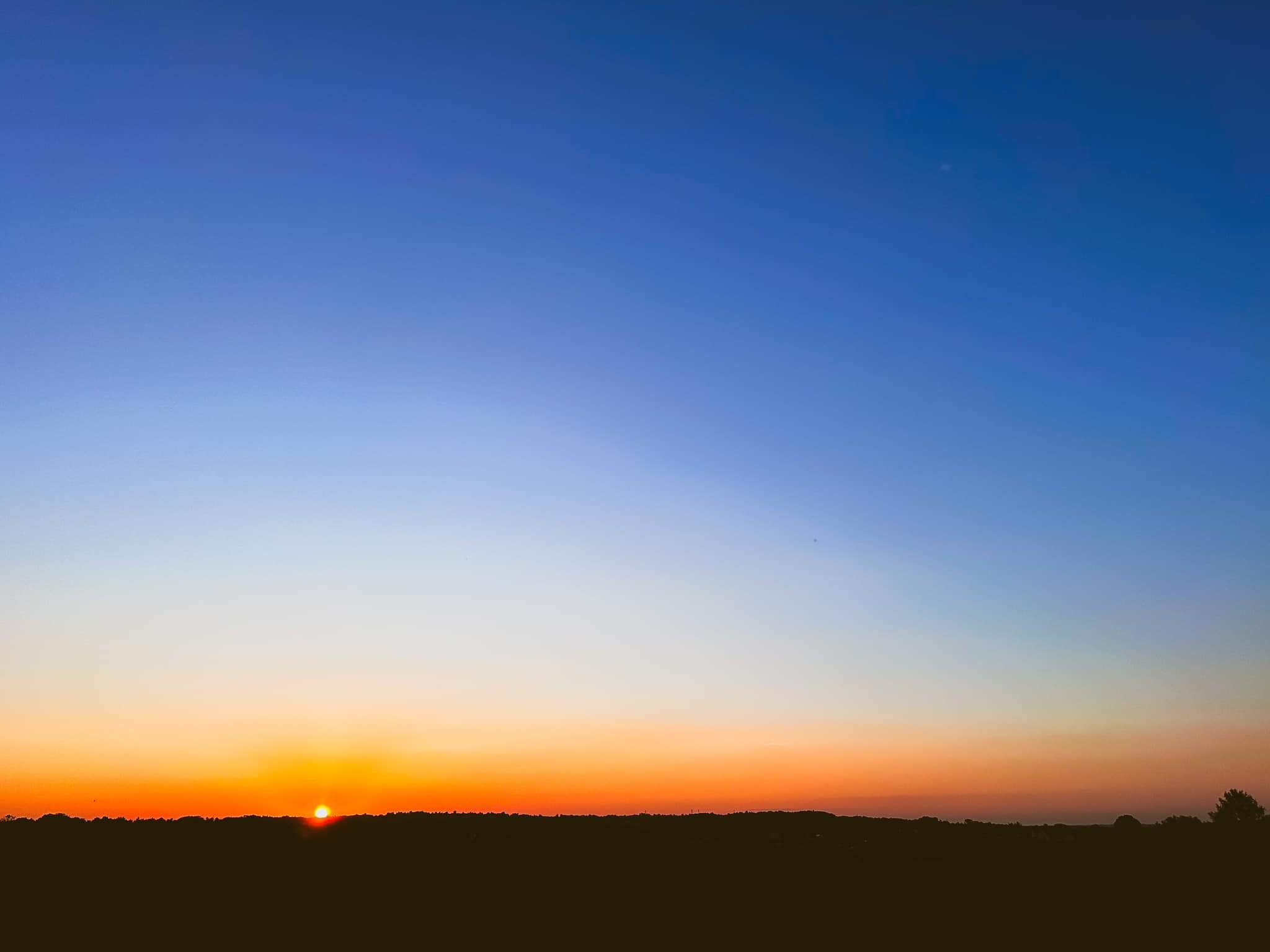 Horyzont z zachodzącym słońcem, ciemny pas drzew na tle pomarańczowo-niebieskiego nieba.