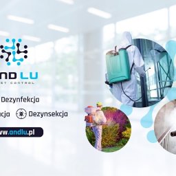 Dezynsekcja i deratyzacja Opole 1