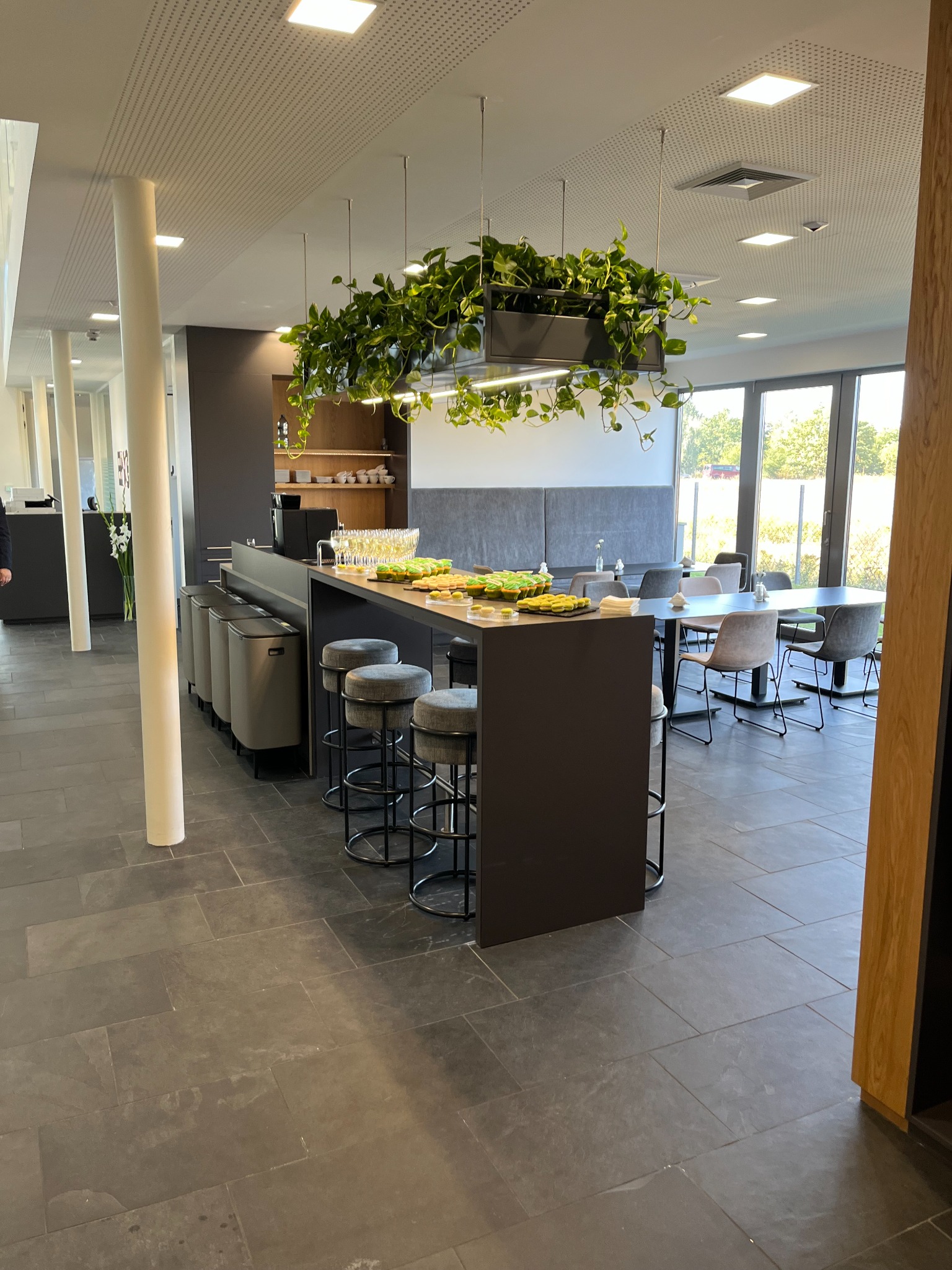 Nowoczesna przestrzeń biurowa z wyspą kuchenną, barowymi stołkami i roślinami zwisającymi z sufitu. Widoczne szklanki i przekąski na blacie.