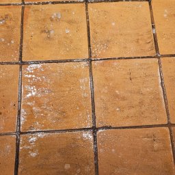 Parowe doczyszczanie fug i ceglanego gresu 