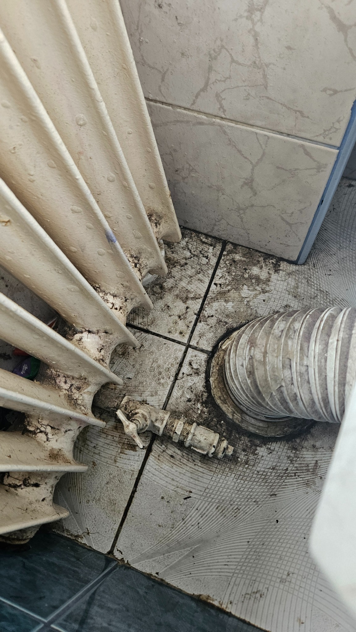 Zanieczyszczony grzejnik żeberkowy z brudnymi rurami i zaworem termostatycznym na brudnej podłodze wyłożonej płytkami ceramicznymi.