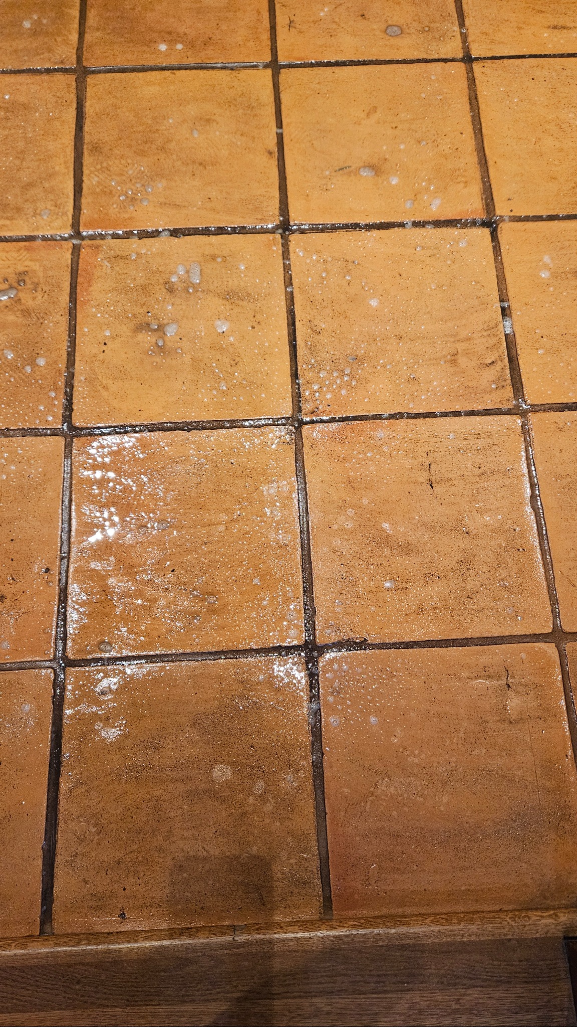 Parowe doczyszczanie fug i ceglanego gresu