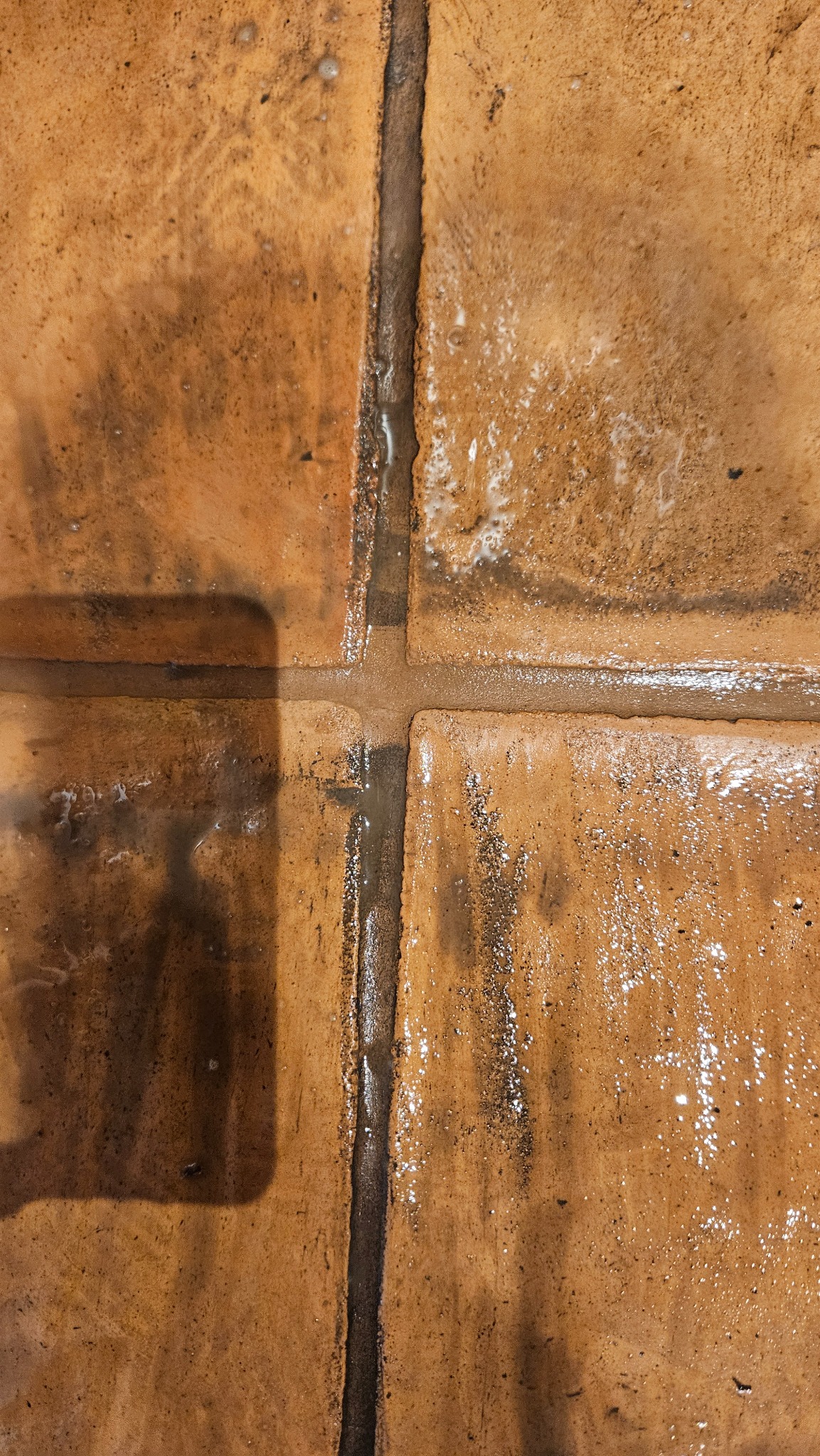 Czyszczone, mokre, terakotowe płytki podłogowe z widocznymi fugami i cieniem