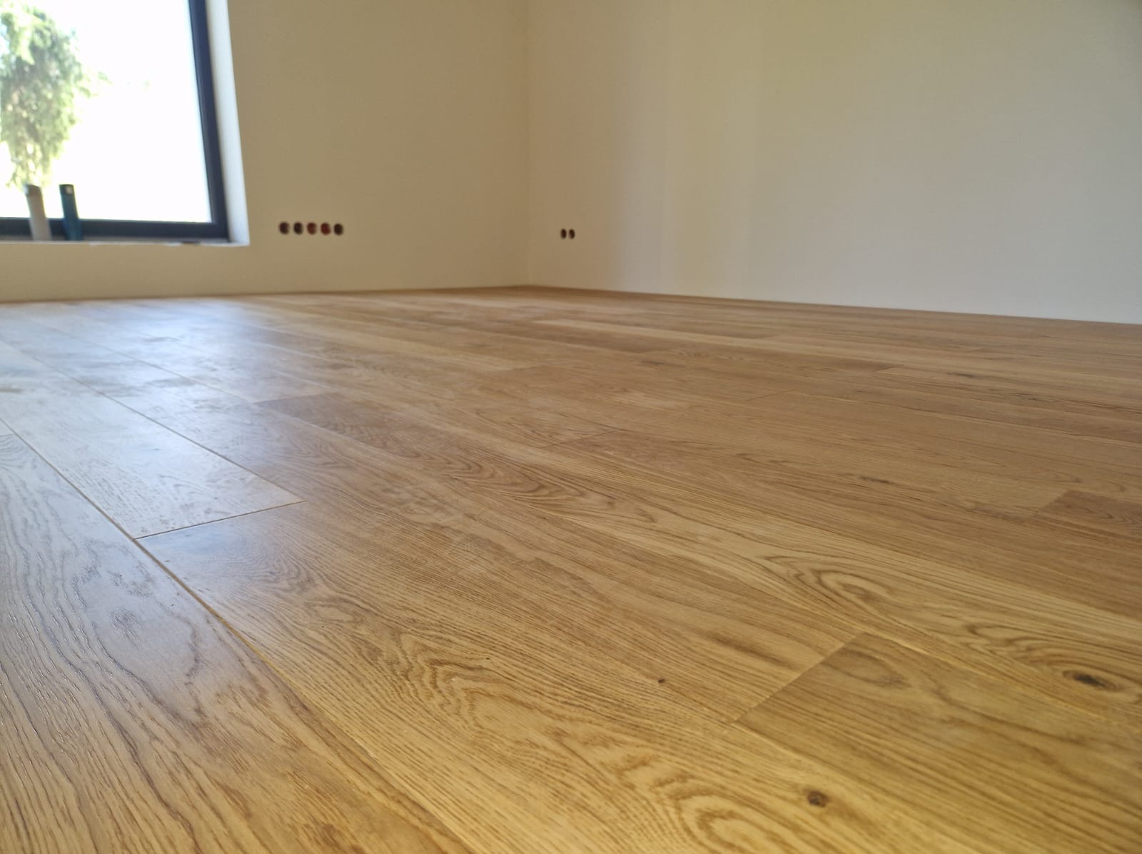 Nowo położona, lakierowana podłoga z desek w pustym, jasnym pokoju z oknem, widoczne gniazdka elektryczne na ścianie.