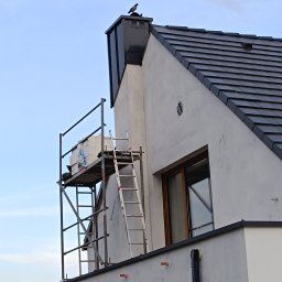 Andar ANDREA OGRODNIK - Dom w trakcie ocieplania: widoczne rusztowanie z materiałami izolacyjnymi, drabina oparta o ścianę, fragment dachu z ciemną dachówką oraz gołąb siedzący na kominie.