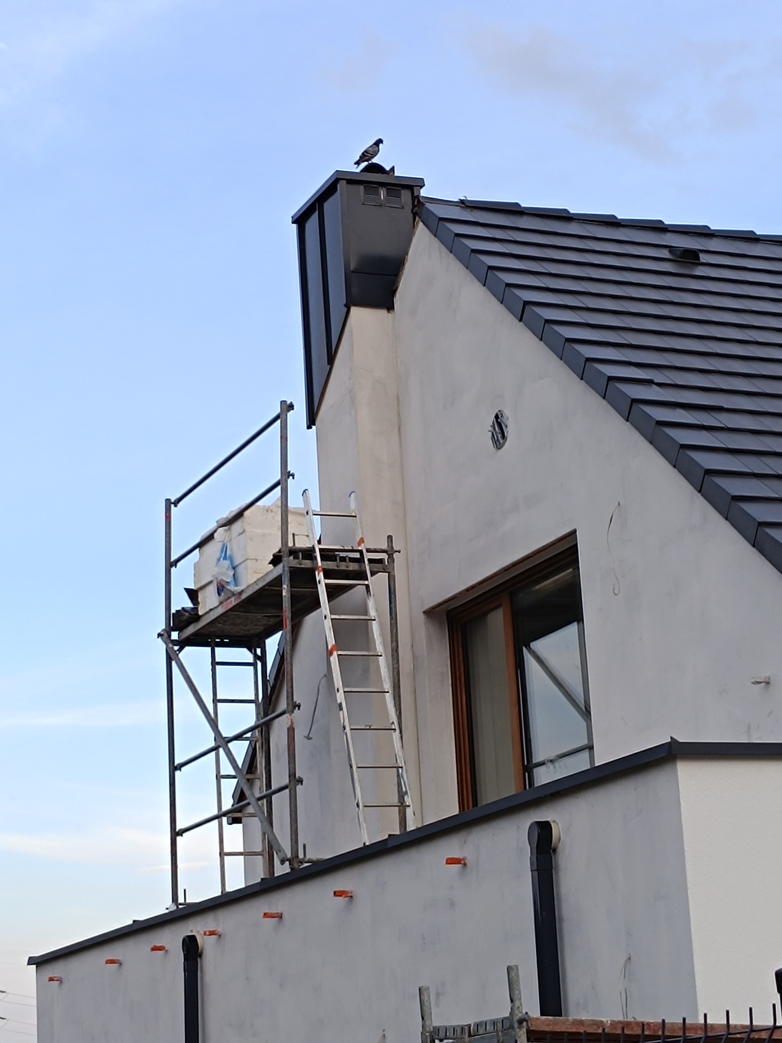 Dom w trakcie ocieplania: widoczne rusztowanie z materiałami izolacyjnymi, drabina oparta o ścianę, fragment dachu z ciemną dachówką oraz gołąb siedzący na kominie.