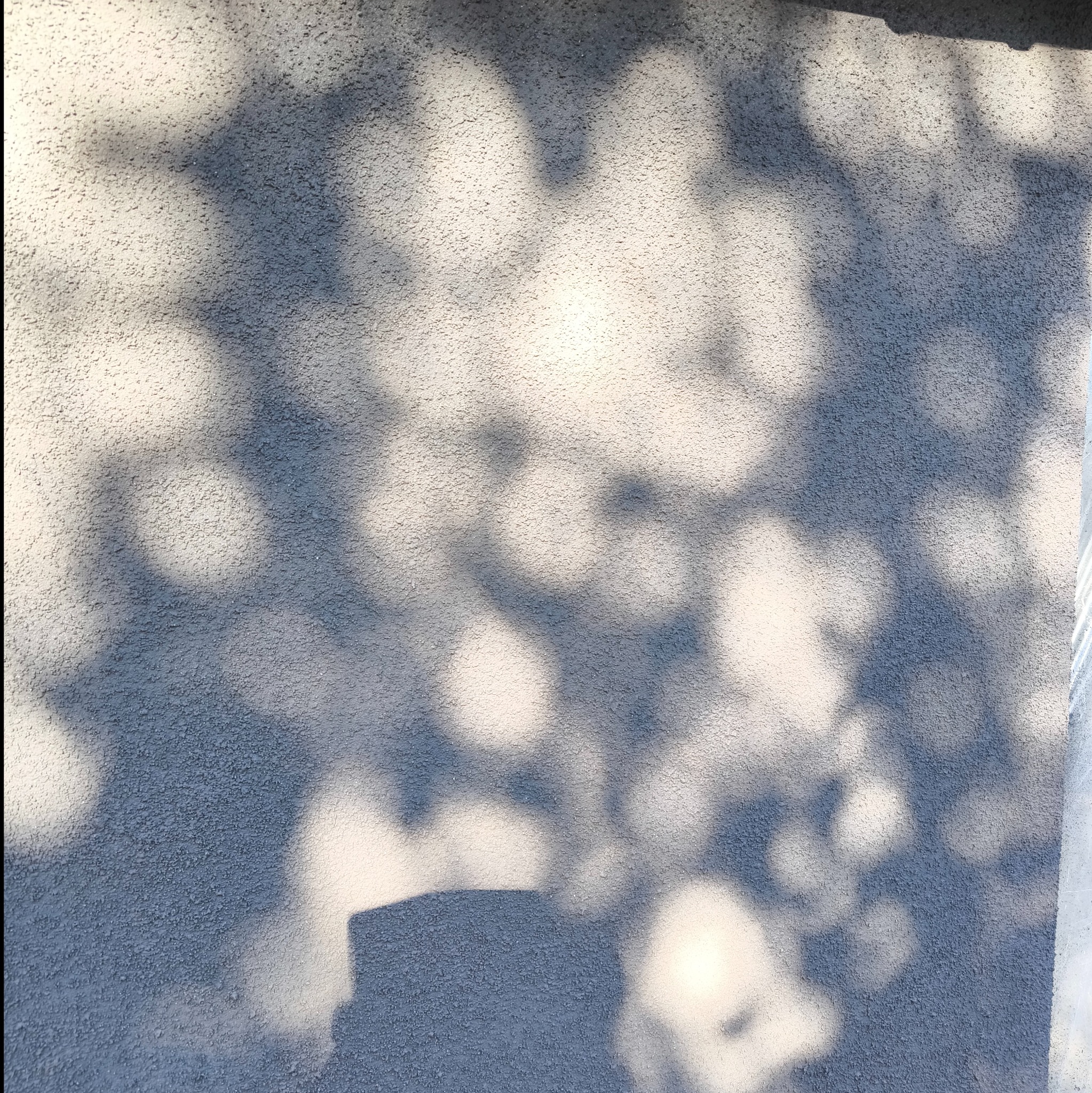 Szara ściana z fakturą baranka oświetlona promieniami słońca tworzącymi cienie liści drzew.