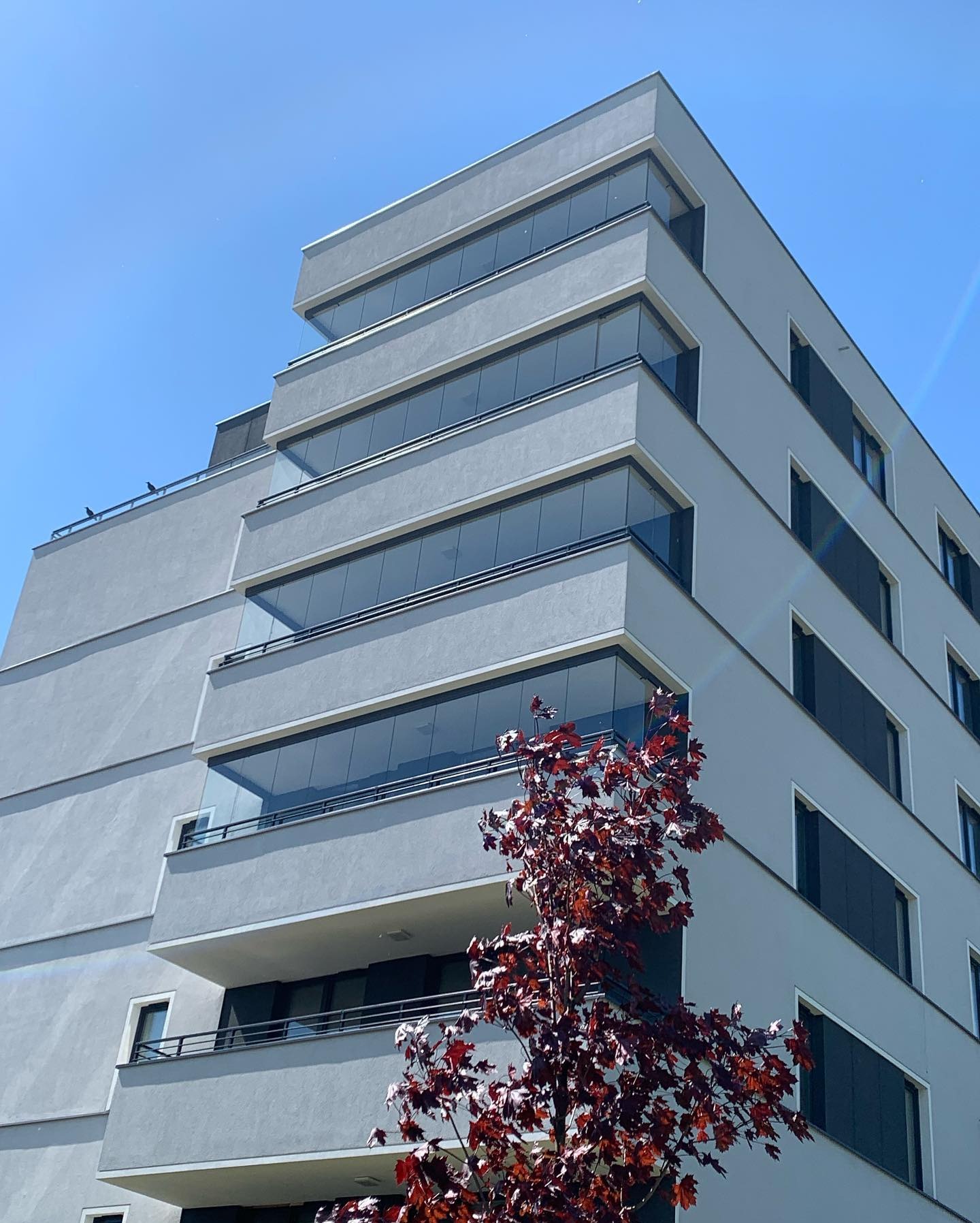 Nowoczesny budynek z balkonami z szklanymi balustradami, widok z dołu, na pierwszym planie drzewo z czerwonymi liśćmi.