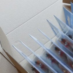 Pakowanie i konfekcjonowanie Kraków 1