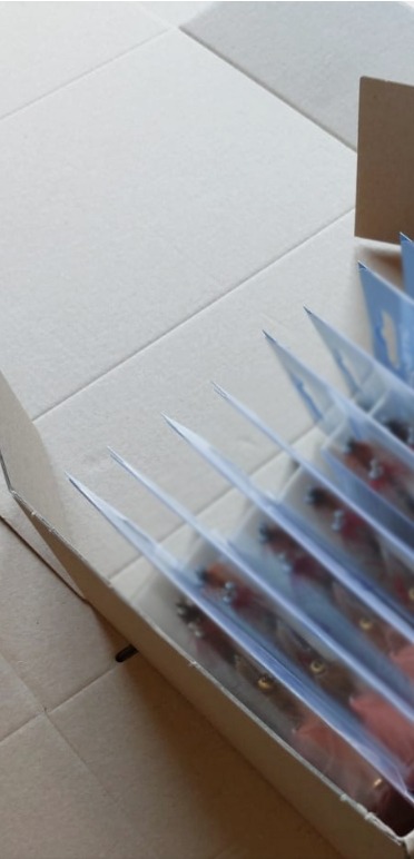 Paczka przynęt wędkarskich w przezroczystych opakowaniach, ułożona w kartonowym pudełku na tle kartonu.