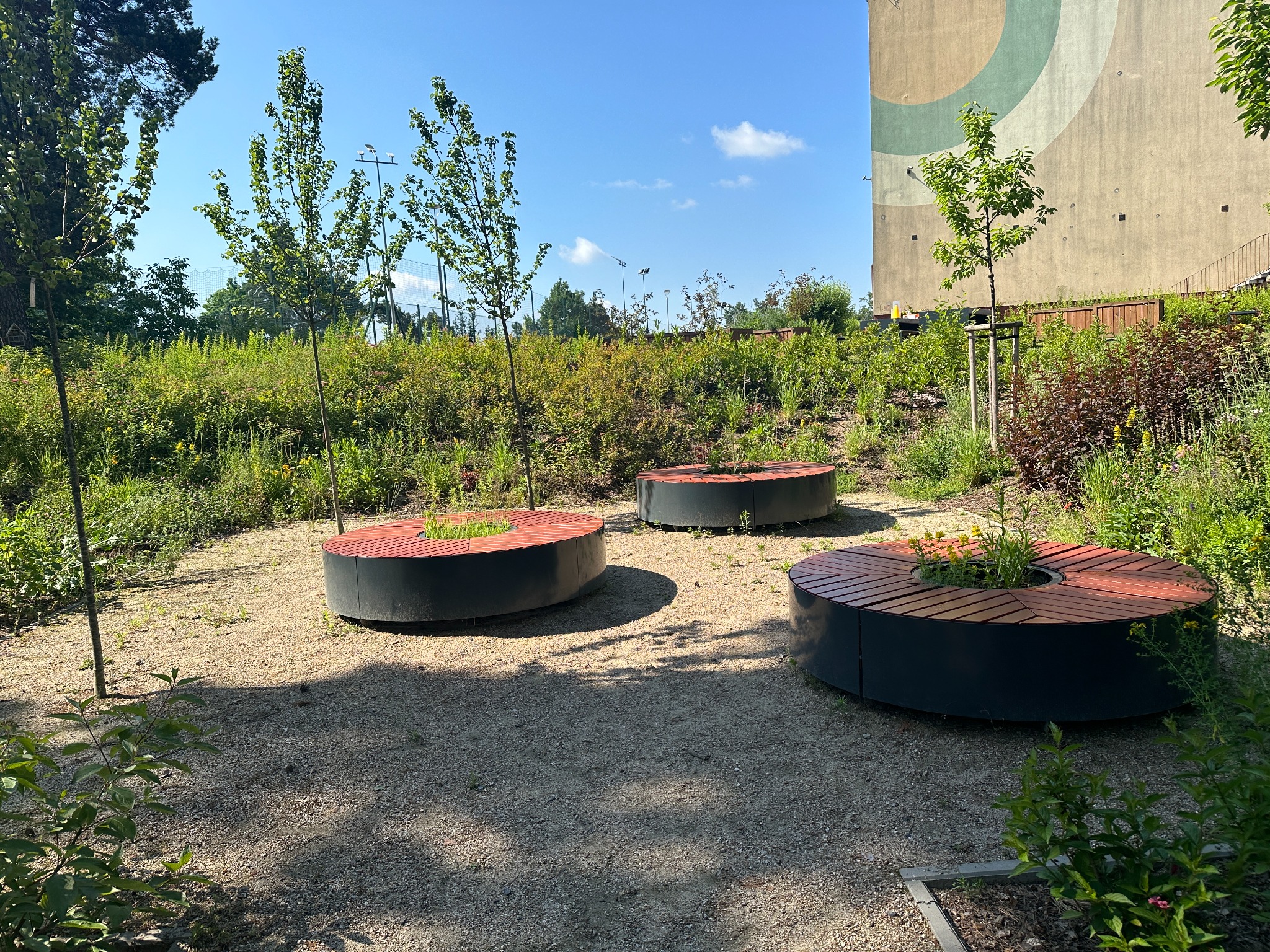 Okrągłe ławki z drewnianym siedziskiem i roślinami pośrodku, ustawione na żwirowym terenie w nowo urządzonym ogrodzie z młodymi drzewami i budynkiem w tle.